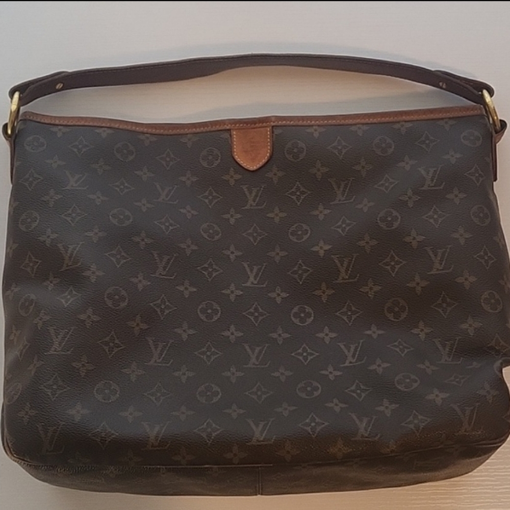 Host Pick ✨️ Louis Vuitton Delightful PM Purse - Picture 13 of 13